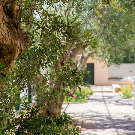 Oliva Holiday Homes Lovely Family Maisonette Διγελιώτικα